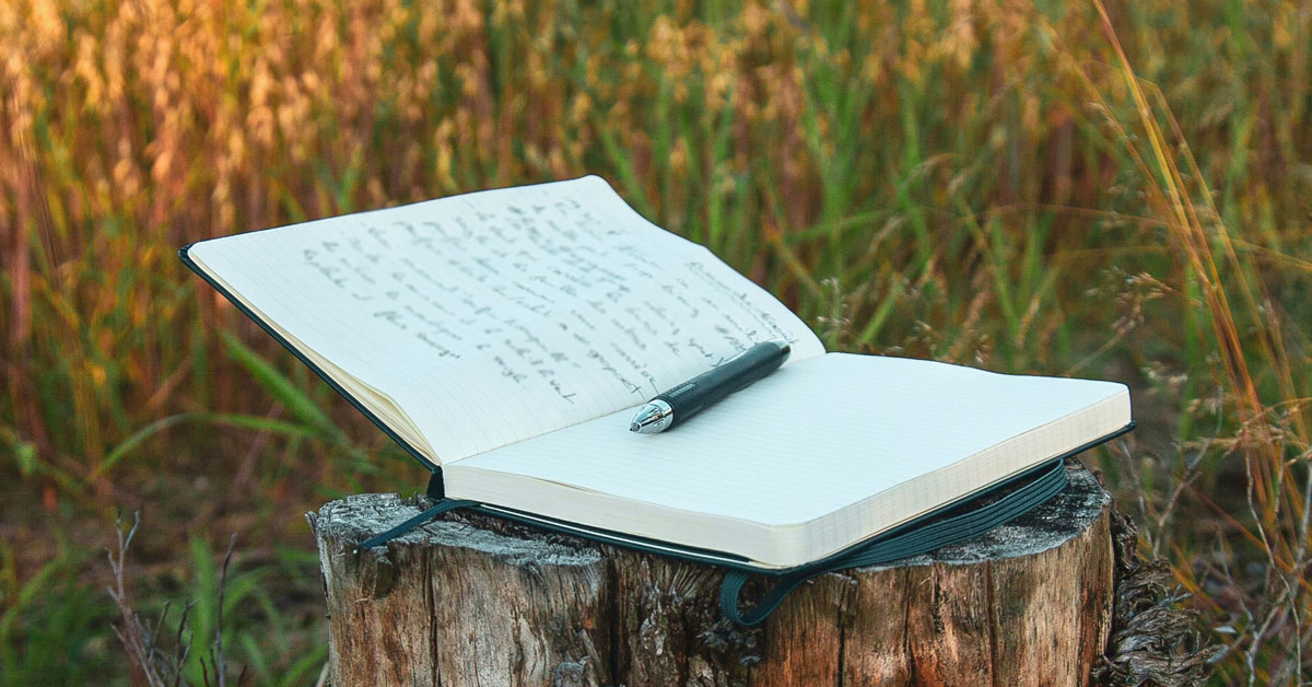 A journal lays open on a tree stump in a green field.