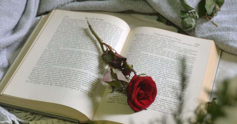 A book lays open with a single red rose laying across its pages.