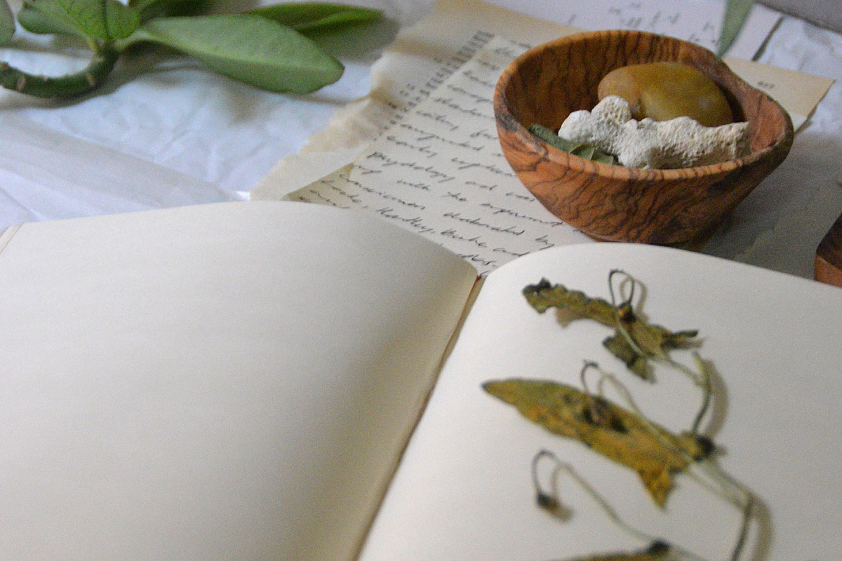 A commonplace book lays on a table with some leaves on top.