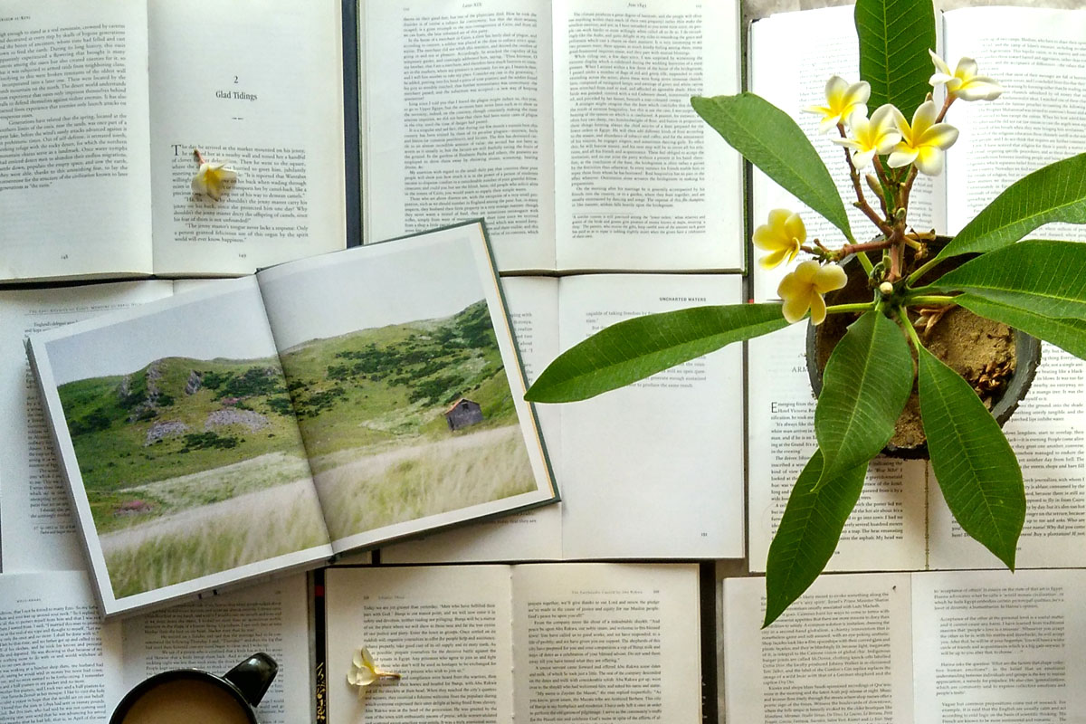 A book lays open on top of rows of other open books.