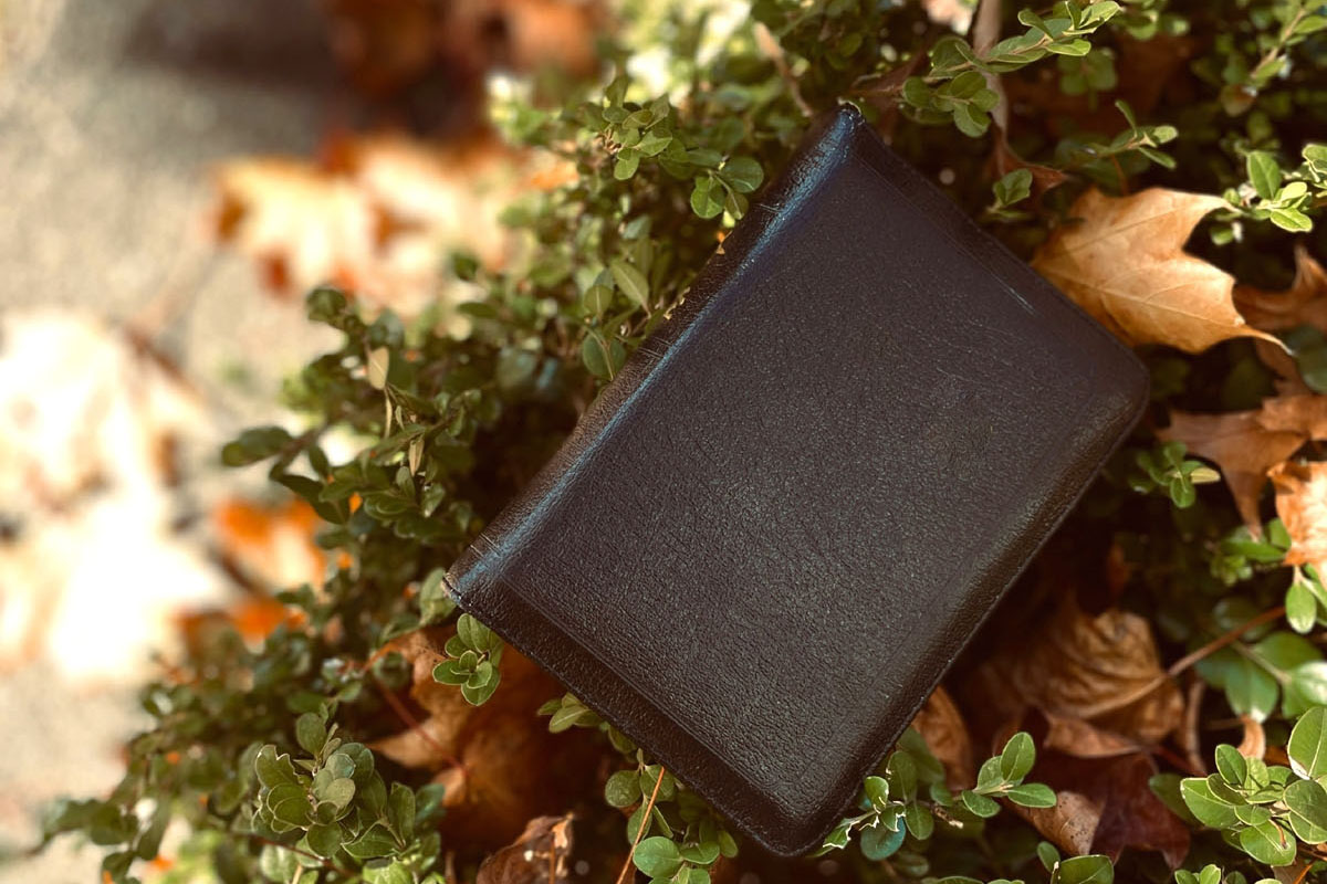 A black bullet journal lays in greenery on the ground.