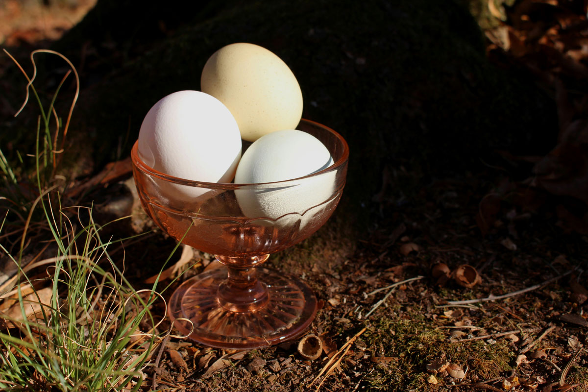 Eggs for an Ostara alter during the spring equinox.