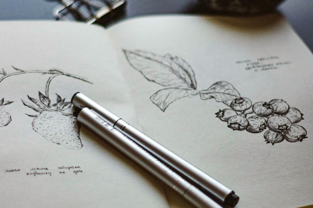 A notebook lays open with doodles of nature and plants. 