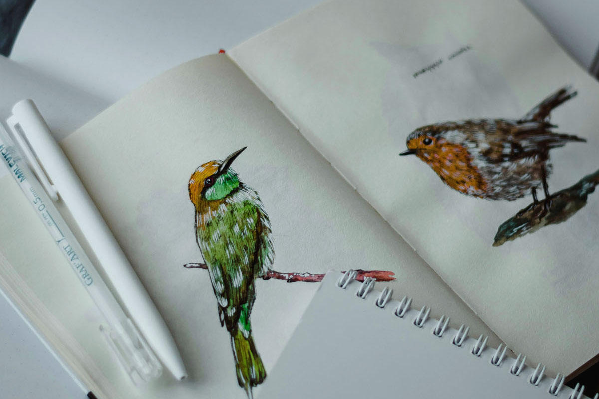 A notebook lays open with watercolor drawings of green and orange birds. 