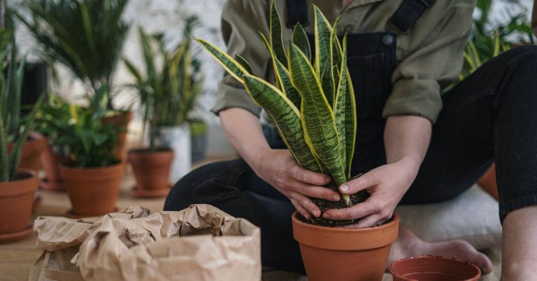 A woman sits on the ground and engages in the slow living hobby of gardening as she digs her hands into some soil to plant a succulent.