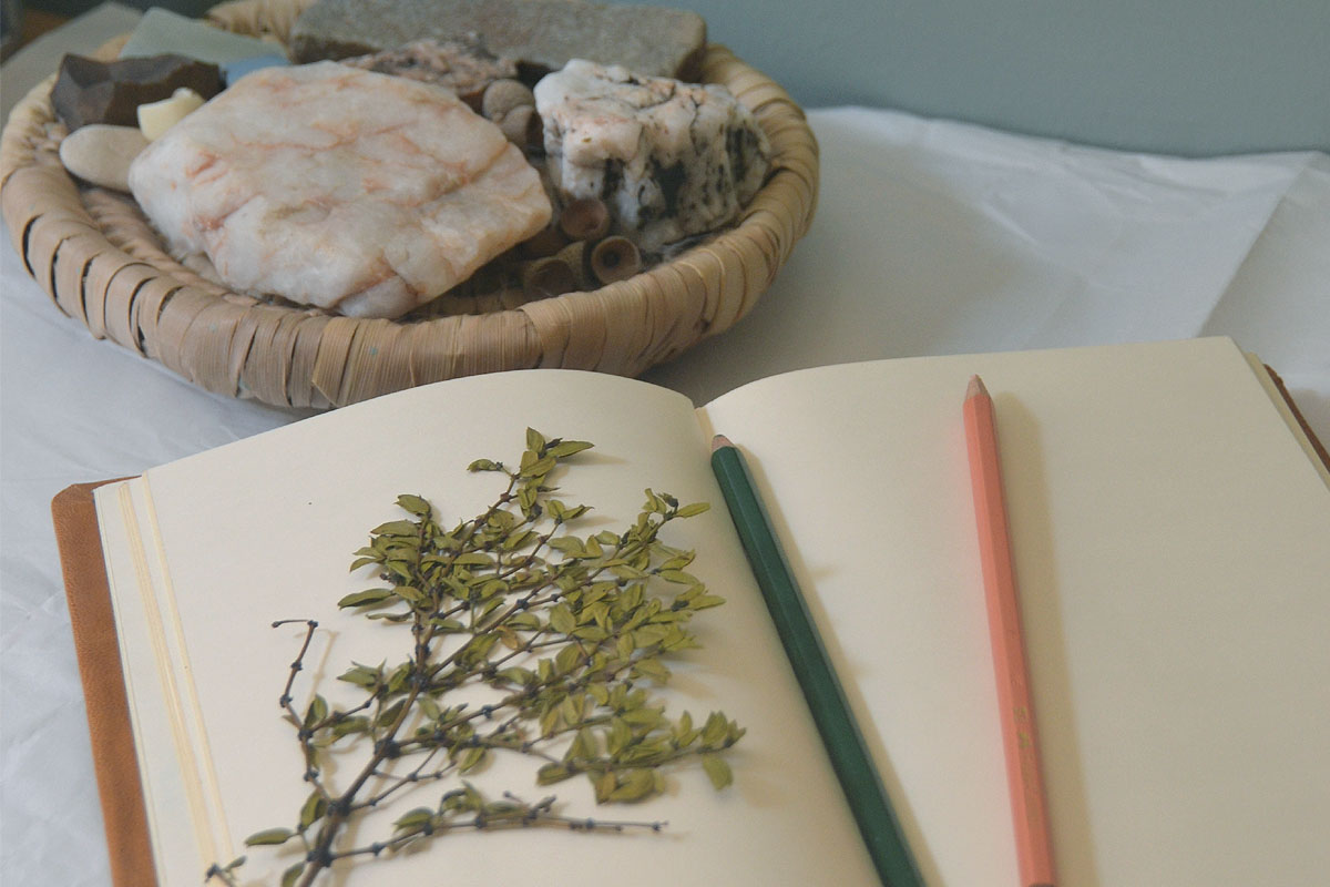 An open journal with two colored pencils and some pressed greenery.