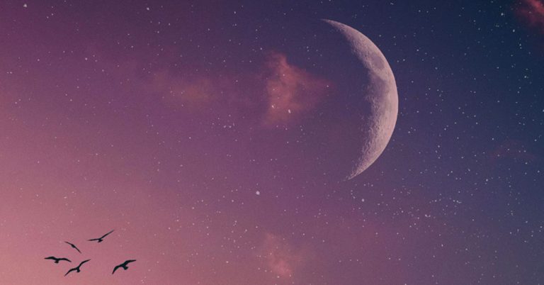 A New Moon with a sliver of a crescent shines in the rosy night sky as a flock of birds fly by.