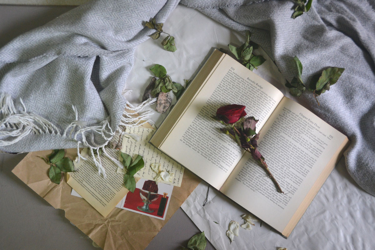 A book lays open on a blue blanket with postcard and a red rose around it. 