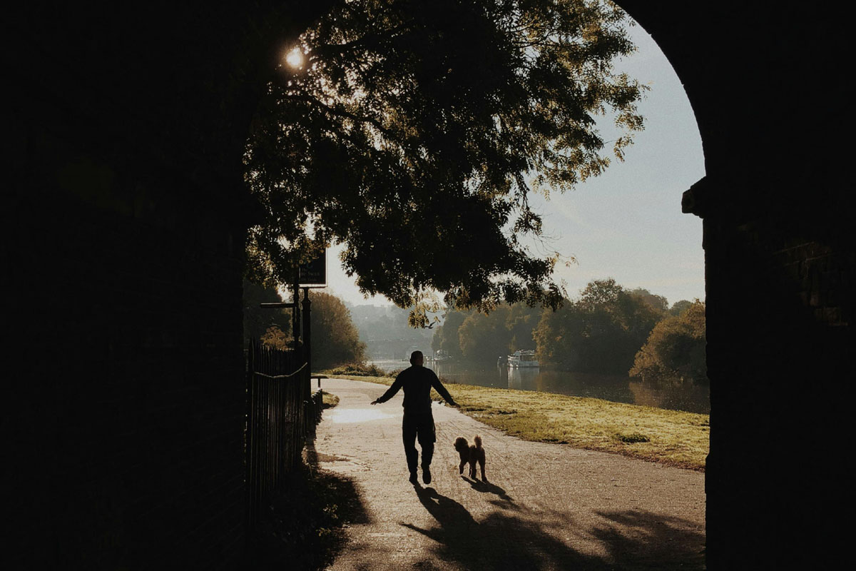 A man walks his dog in the park with the sun setting in front of him.