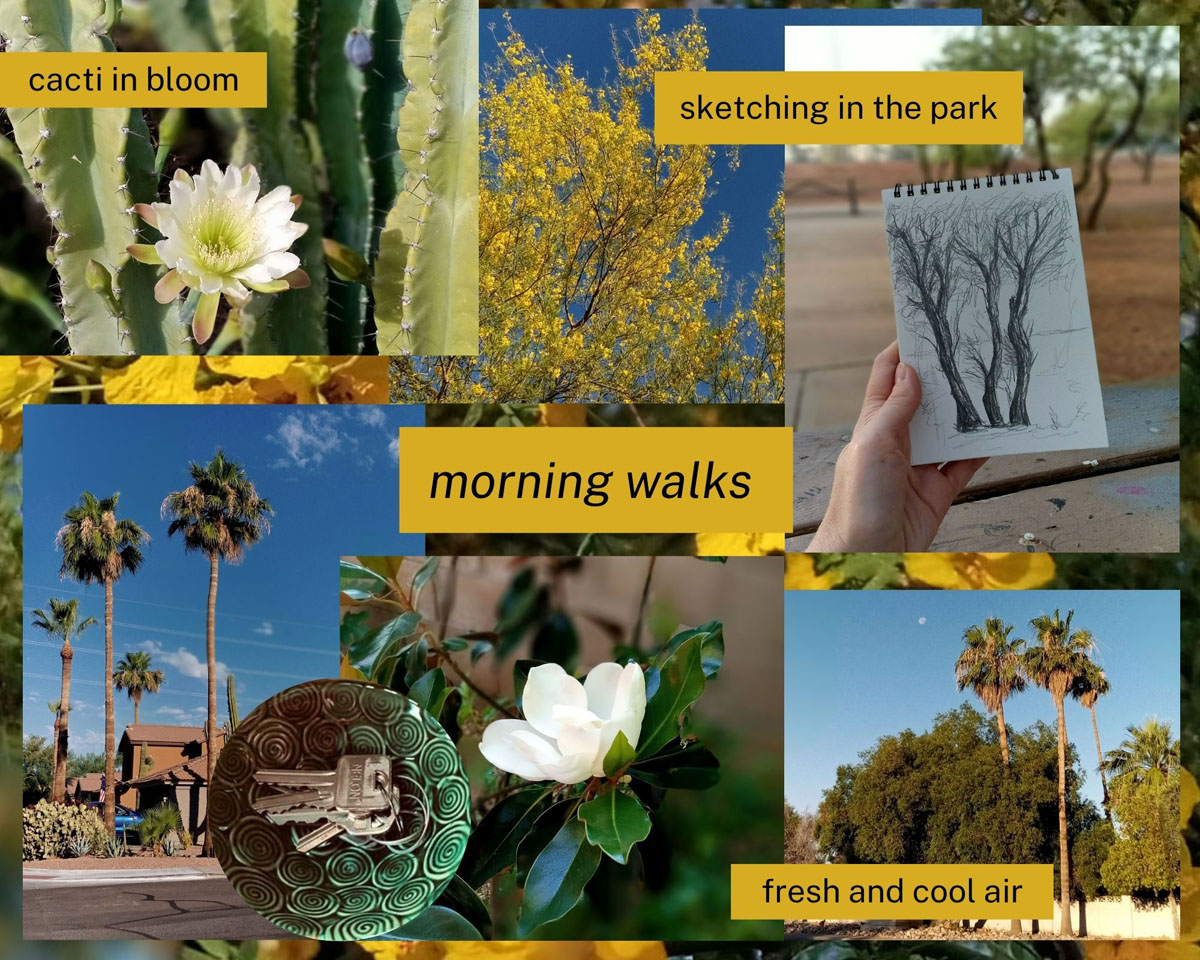 A vision board full of images from a morning walk including streets, flowers and yellow trees in bloom.