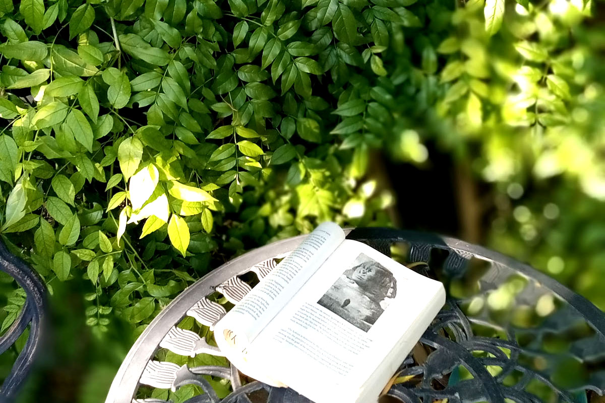 A book lays open on a table in a garden surrounded by greenery.