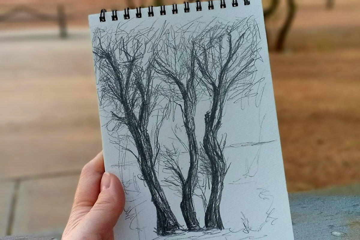 Dee holds up a notebook with sketches of trees.