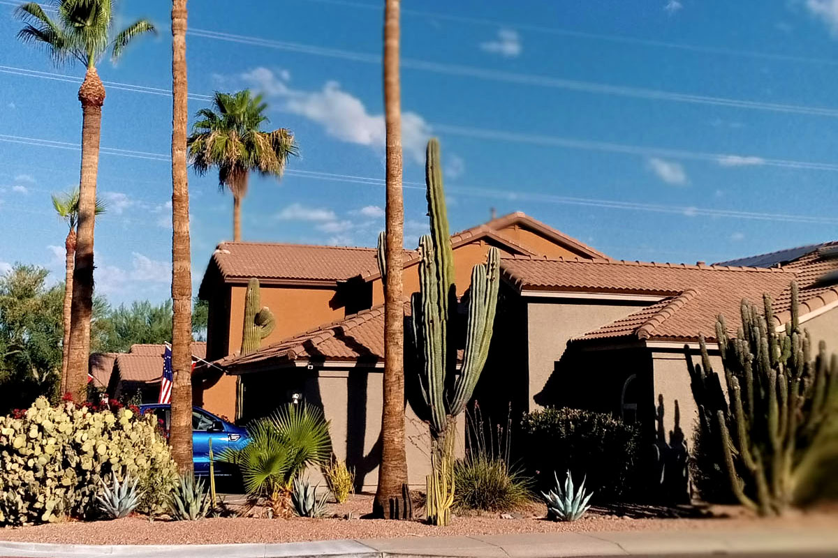 A neighborhood in Arizona during an early morning walk.