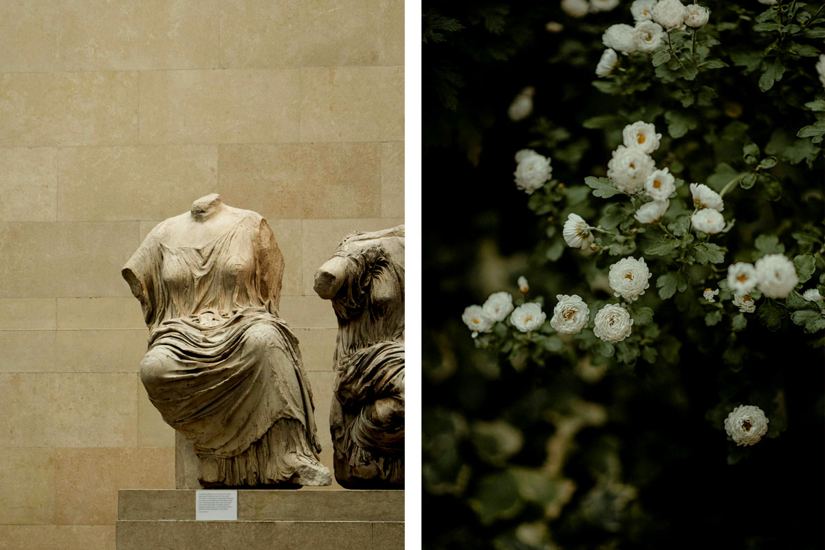 Two images show statues at a museum alongside a dark bush of white roses.