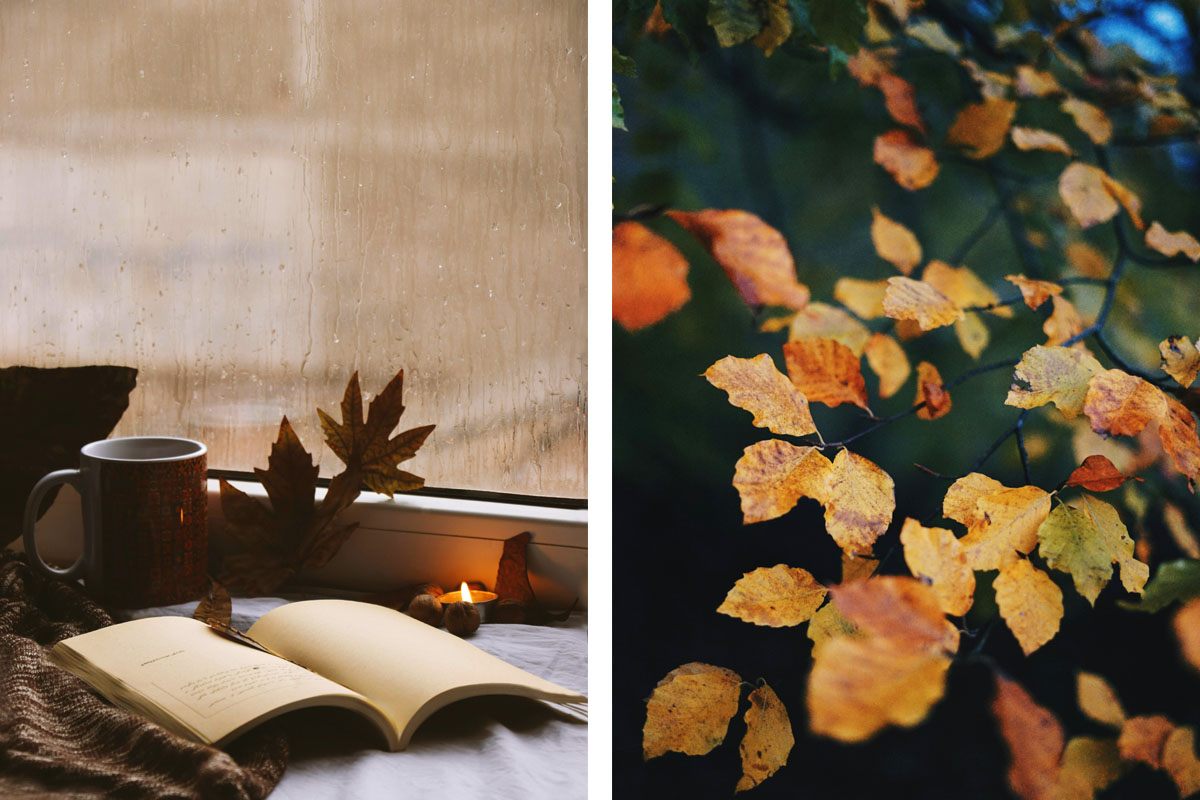 Two images show a notebook laying beside some candles and leaves on a windowsill and yellow leaves against a black background. 