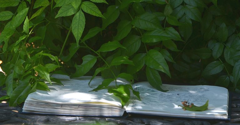A notebook lays on a patio table.
