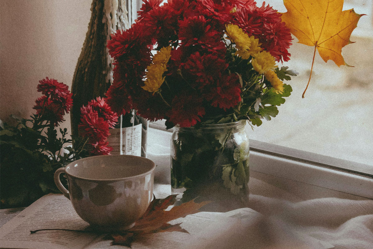 A tea cup lays on top of a book with a vase of dark red flowers in the background. 
