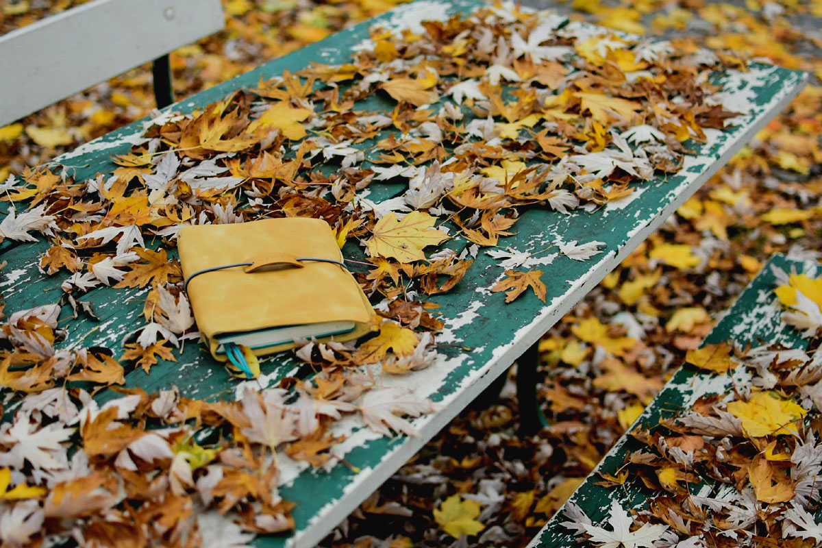 A notebook lays on a park bench topped with yellow and brown leaves. 