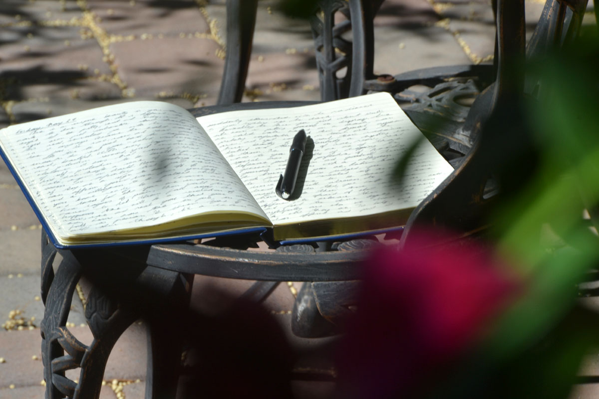 A journal lays open in a garden with pink flowers in the foreground. 