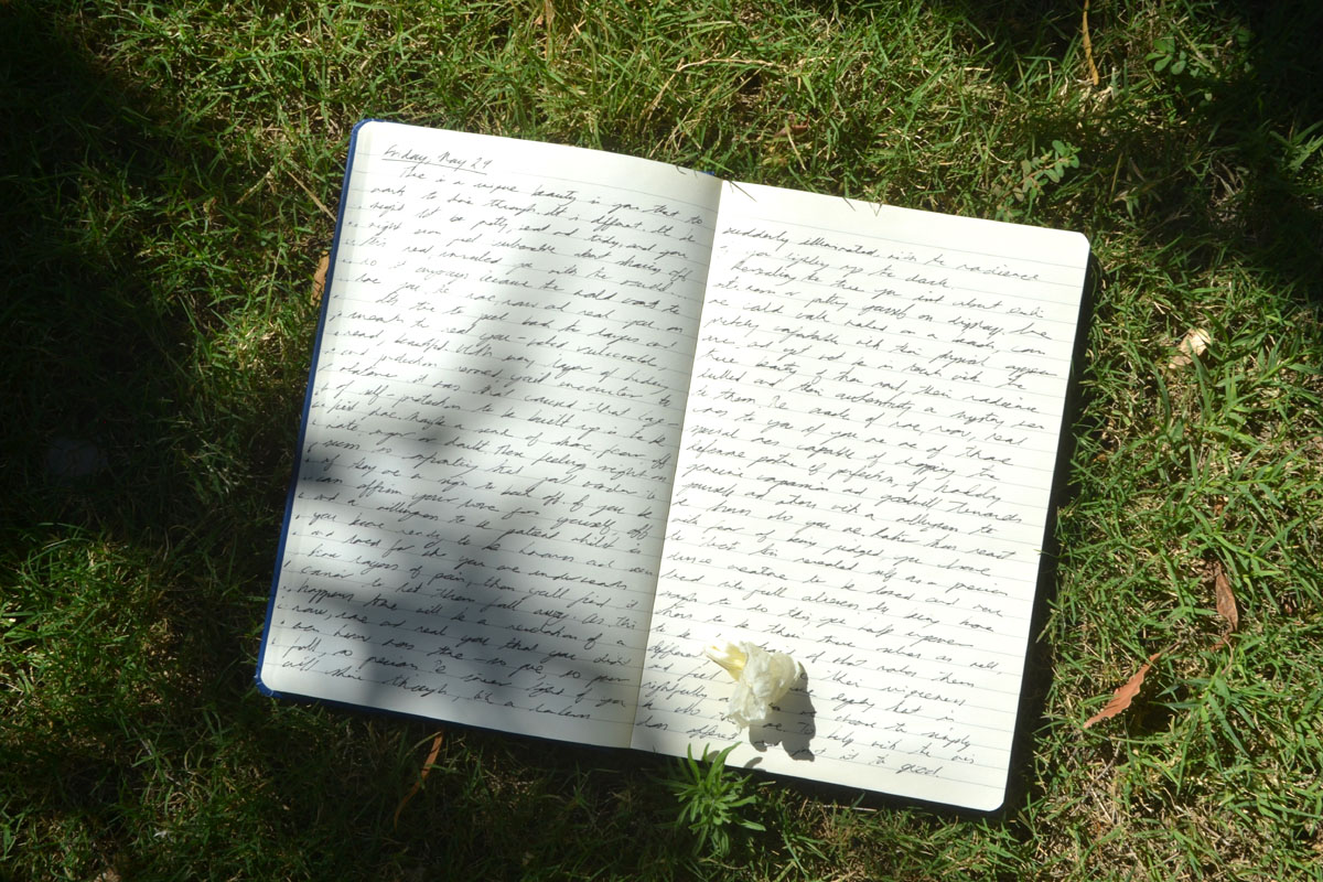 An open journal filled with writing lays in the grass with a white flower on top.