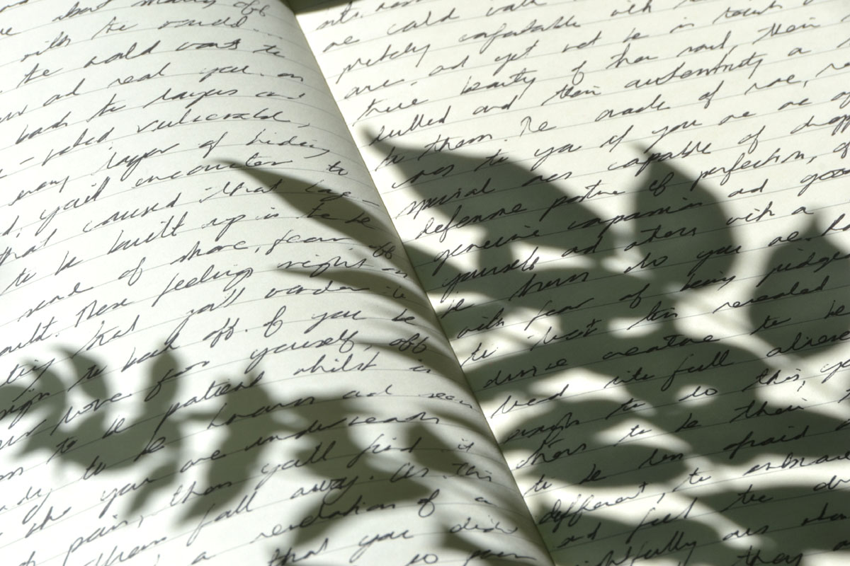 A journal lays open with the shadows of leaves over its pages. 