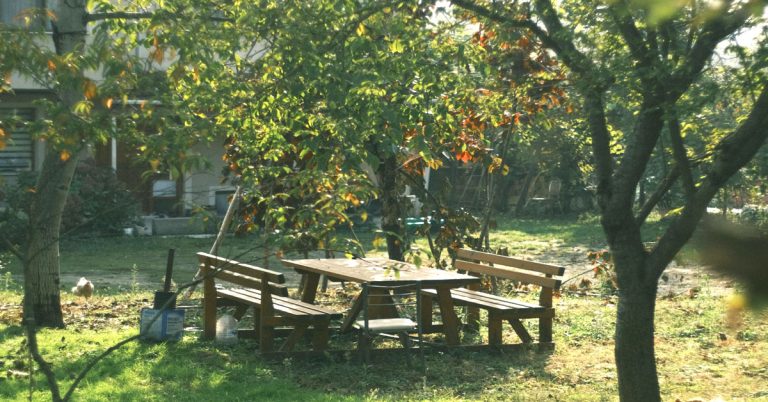 Picnic tables stand in an outside garden in examples of summer bucket list ideas.