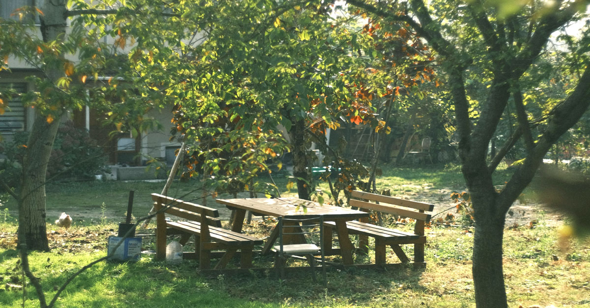 Picnic tables stand in an outside garden in examples of summer bucket list ideas.