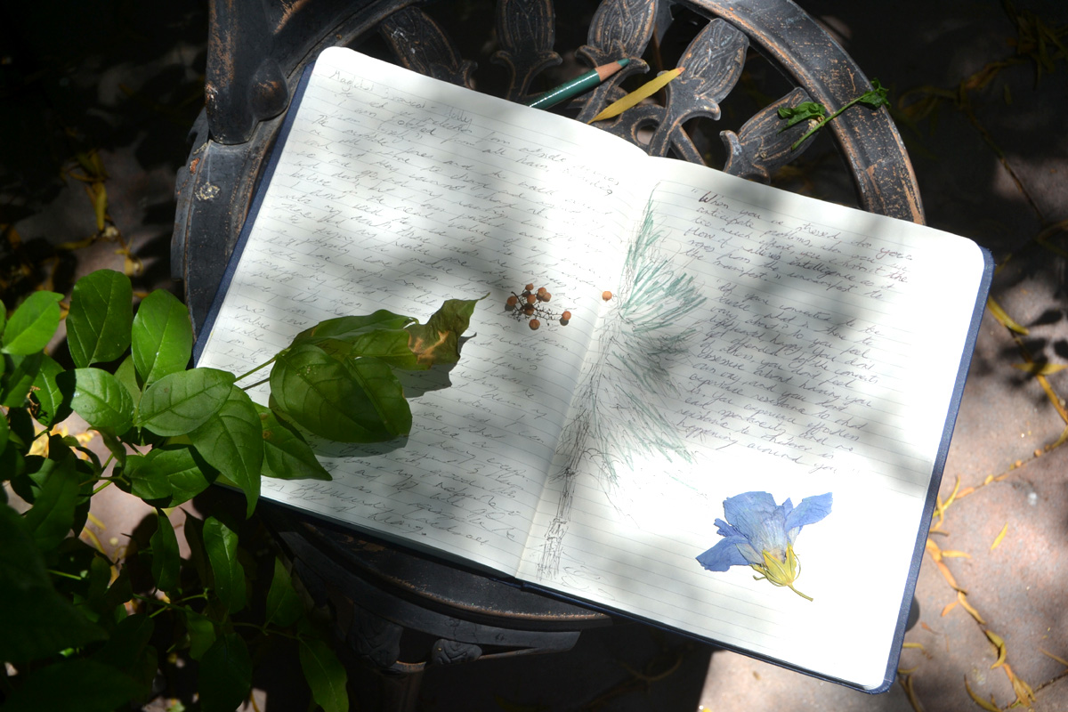 A journal lays open on a garden table.