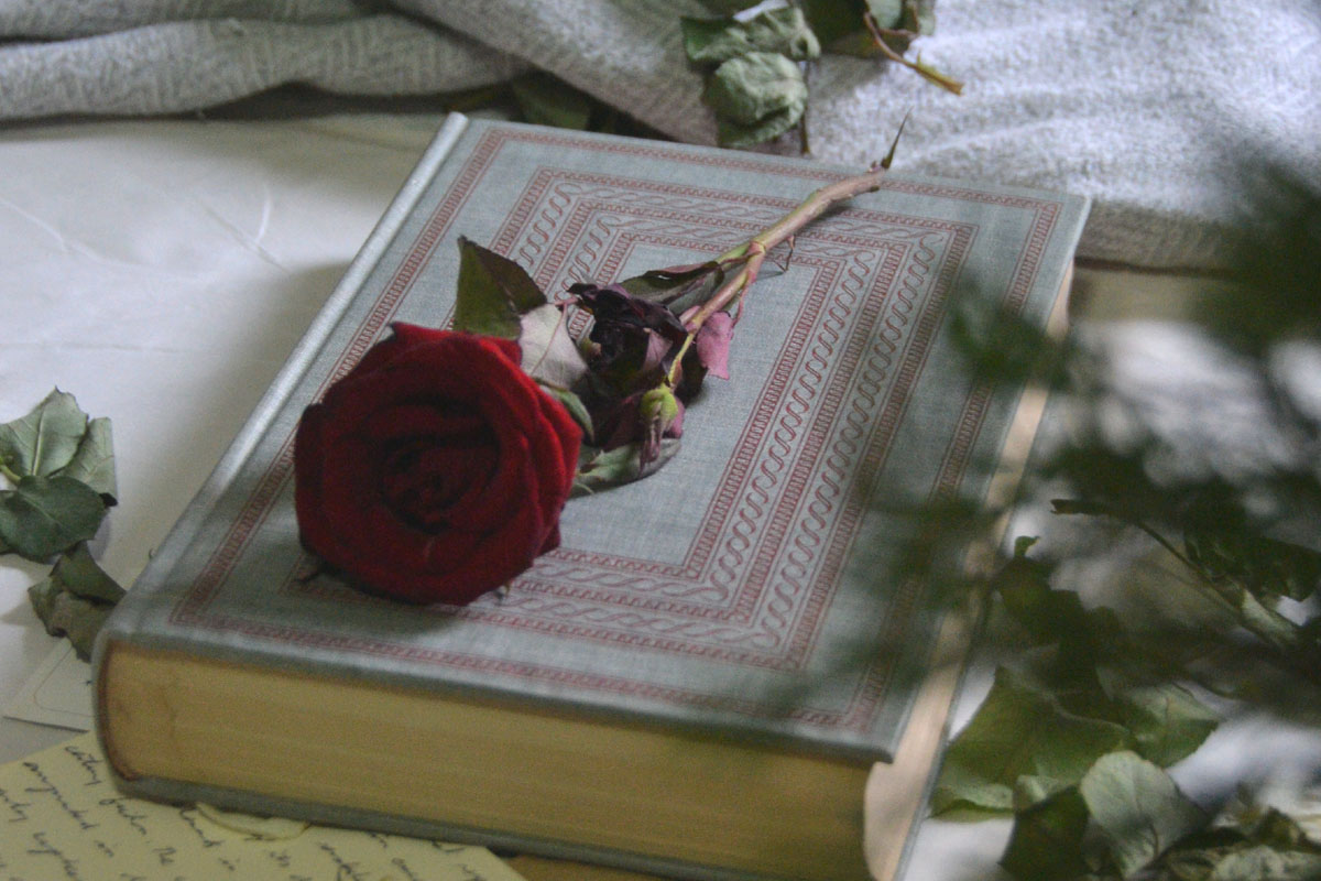 A book lays on a table with a red rose on top.